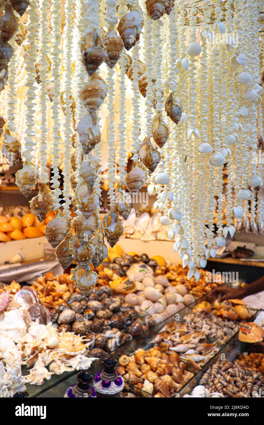 stylish sea snail stock on shop for sell Stock Photo - Alamy