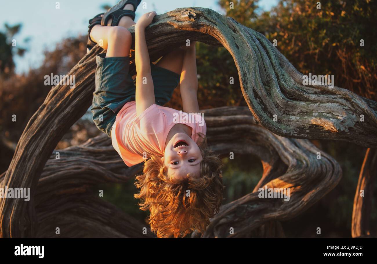 Funny cute boy hanging from branch of tree. Summer time Stock Photo Alamy
