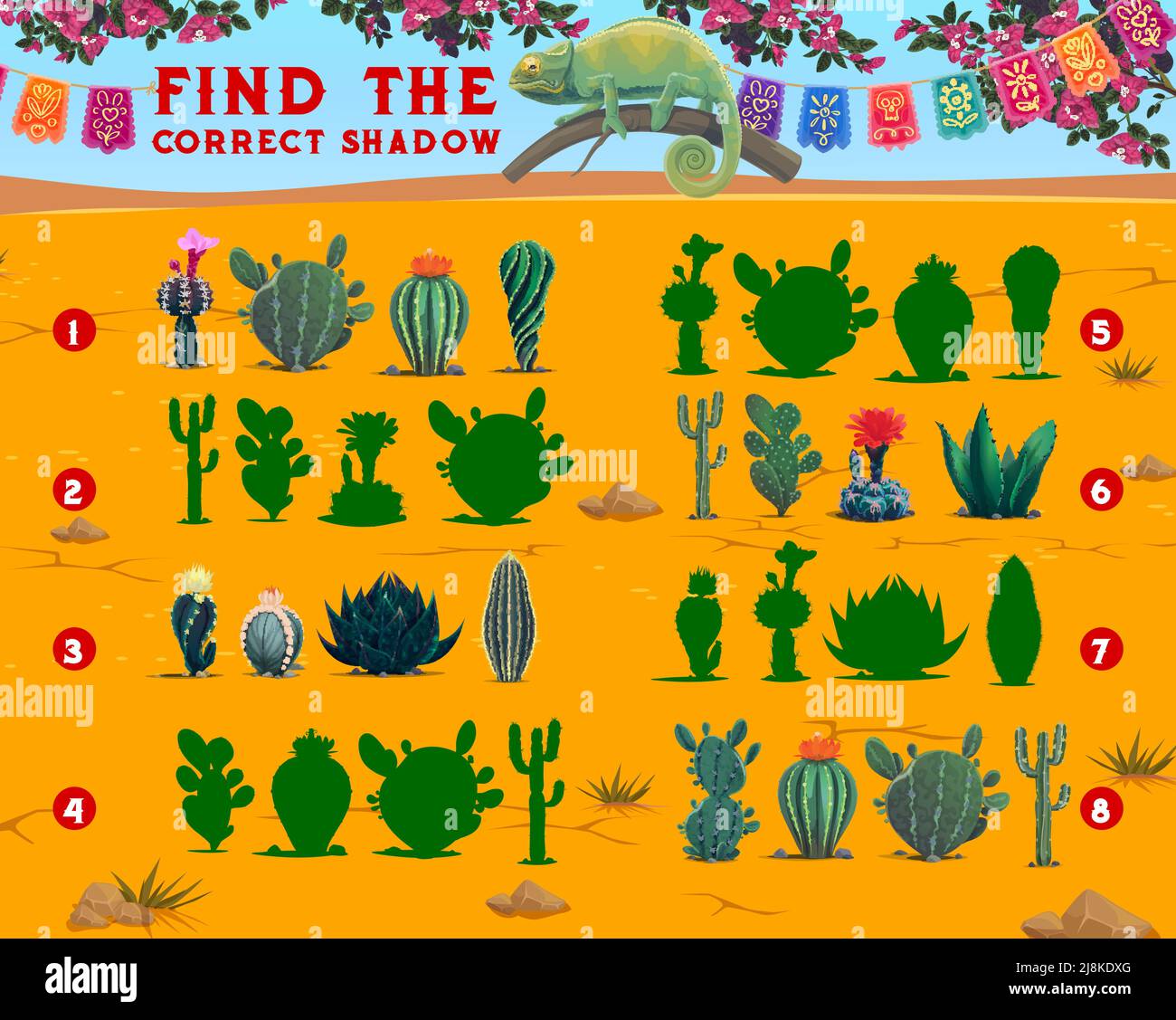 Find the correct shadow of mexican cactus succulents. Shadow compare