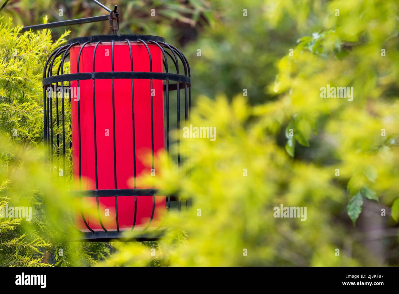 Red Chinese lantern among green leaves in a garden Stock Photo