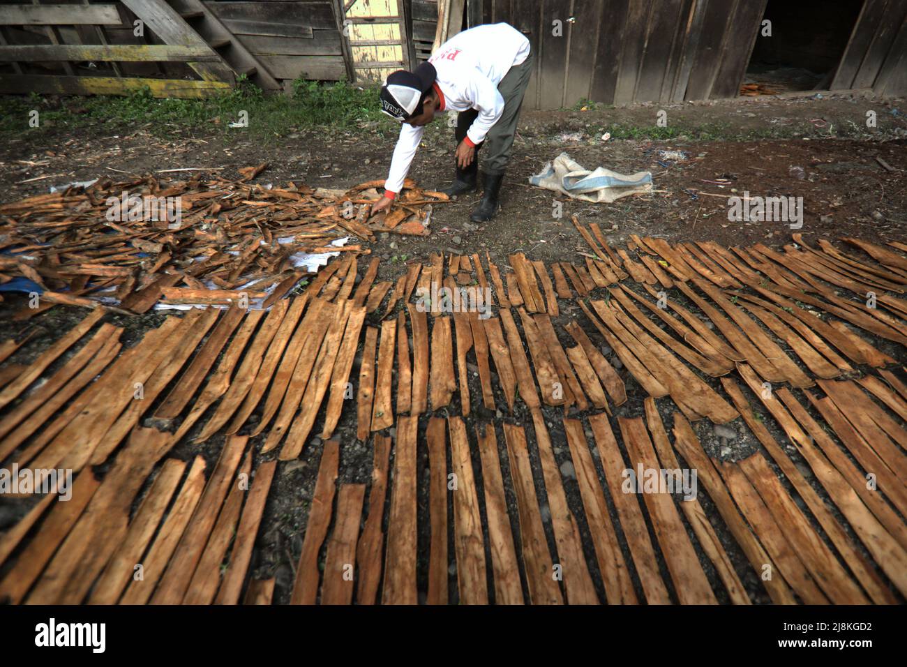Sun cured cinnamon hires stock photography and images Alamy