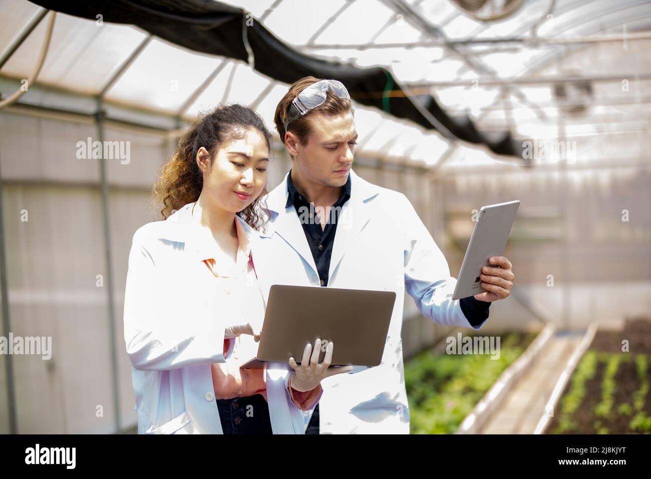 Ag inspector hi-res stock photography and images - Alamy