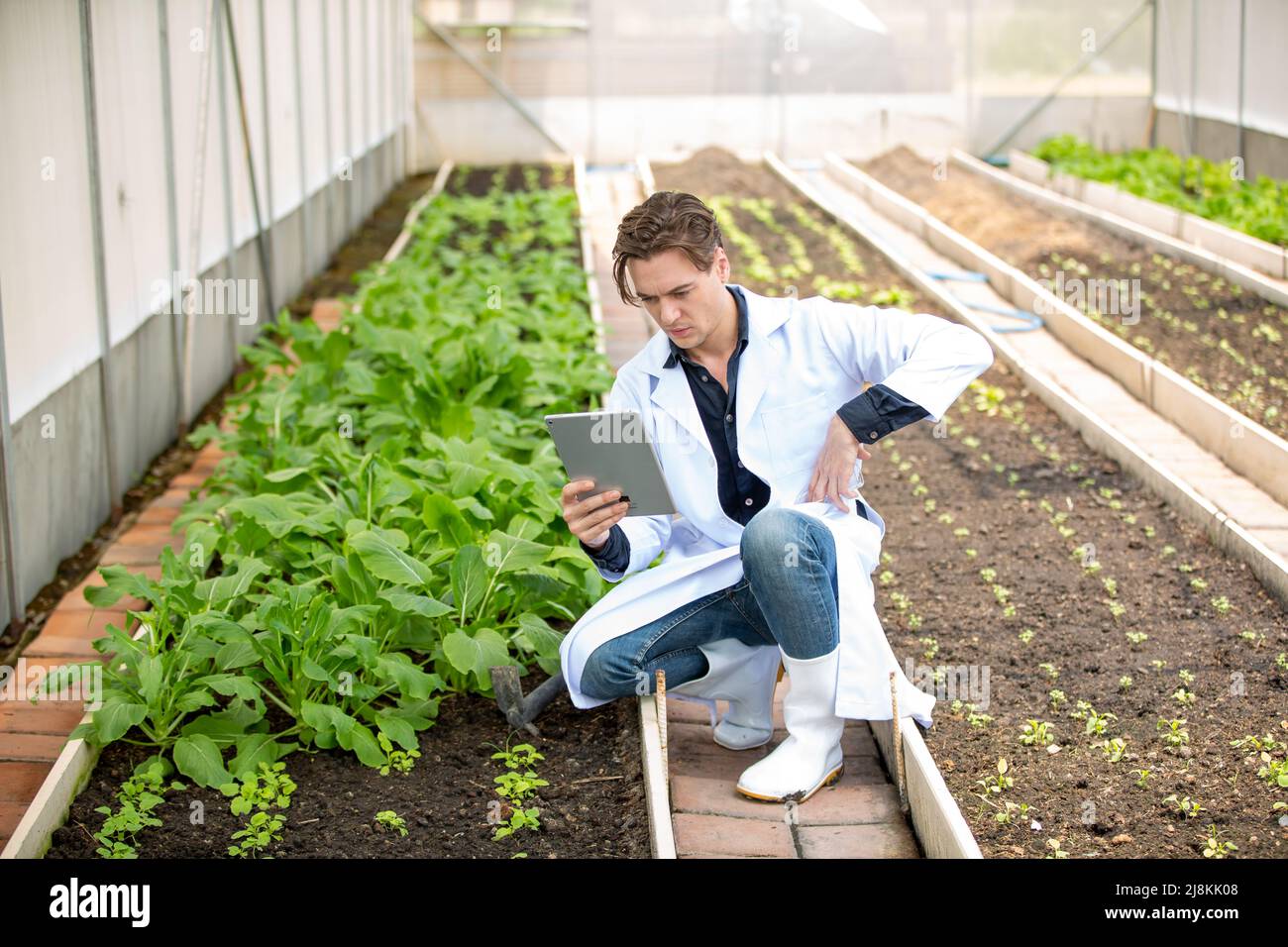 Agronomist farmer quality inspector holding are collecting data in ...