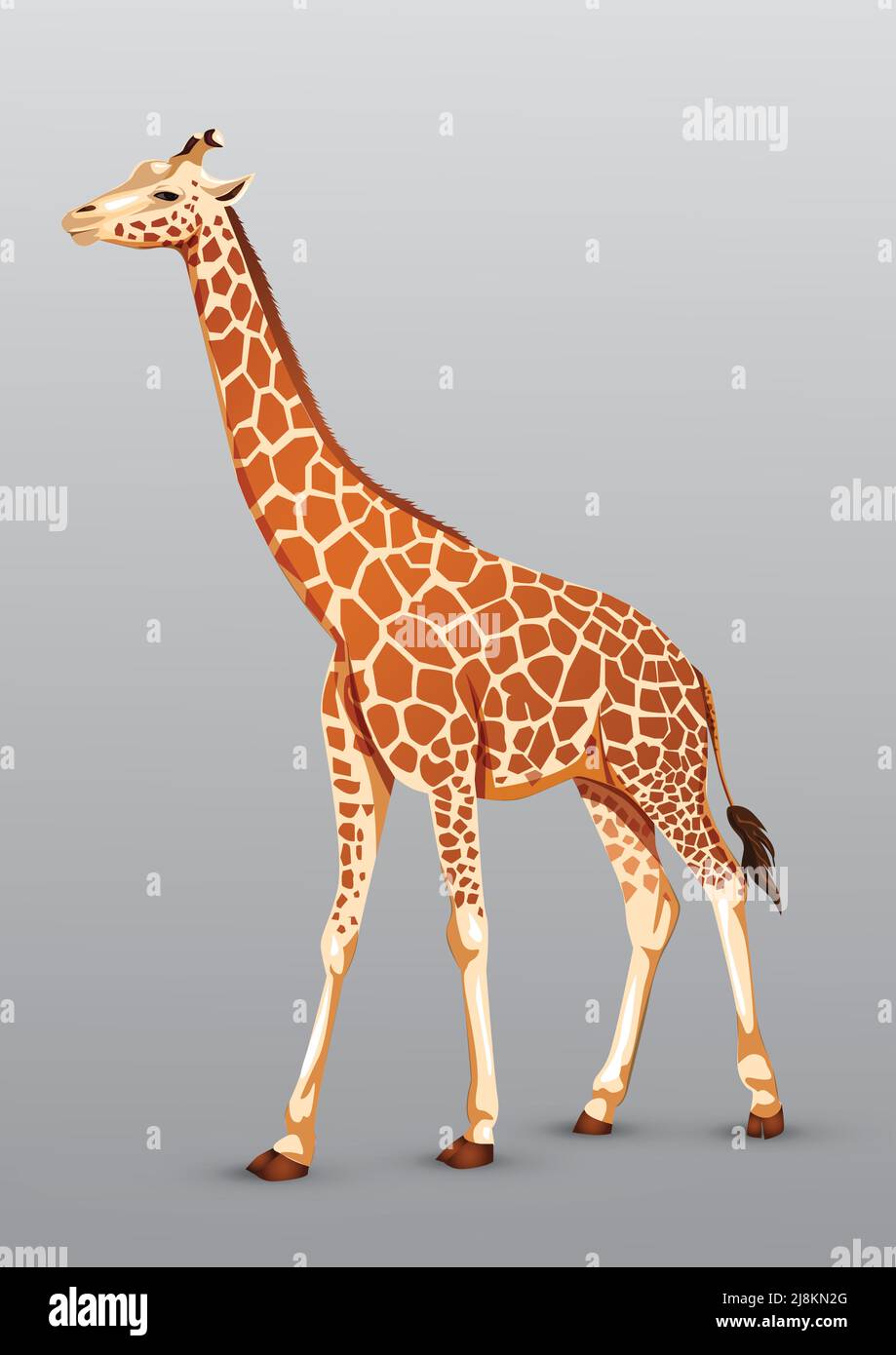 full size giraffe drawing. vector illustration design Stock Vector
