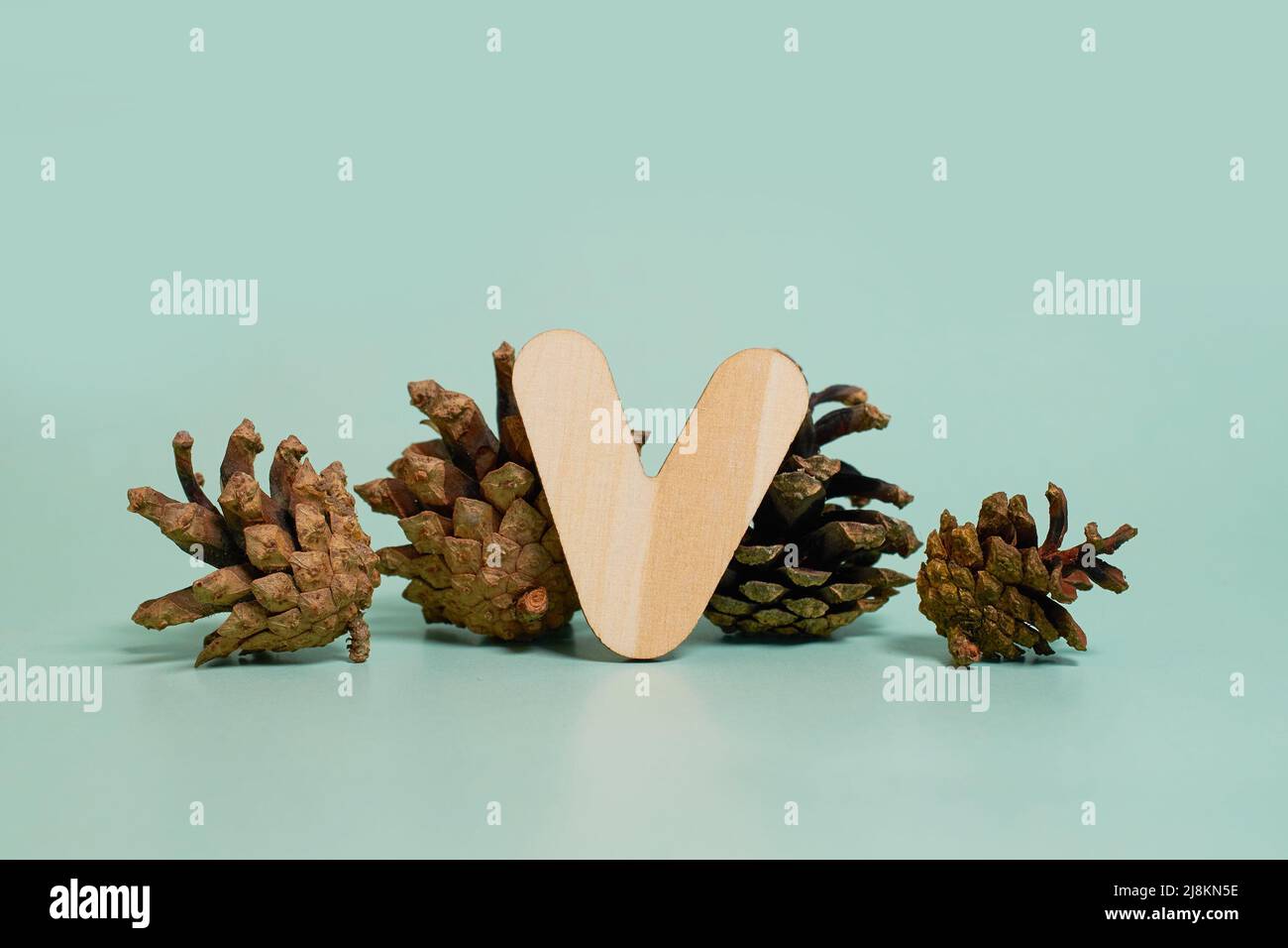 Letter V. A wooden letter of the English alphabet and four pine cones on a colored background. Copy space Stock Photo