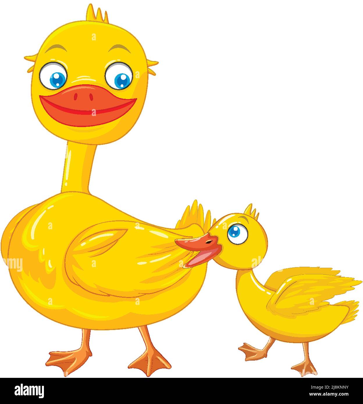Mother duck and duckling on white background illustration Stock Vector ...