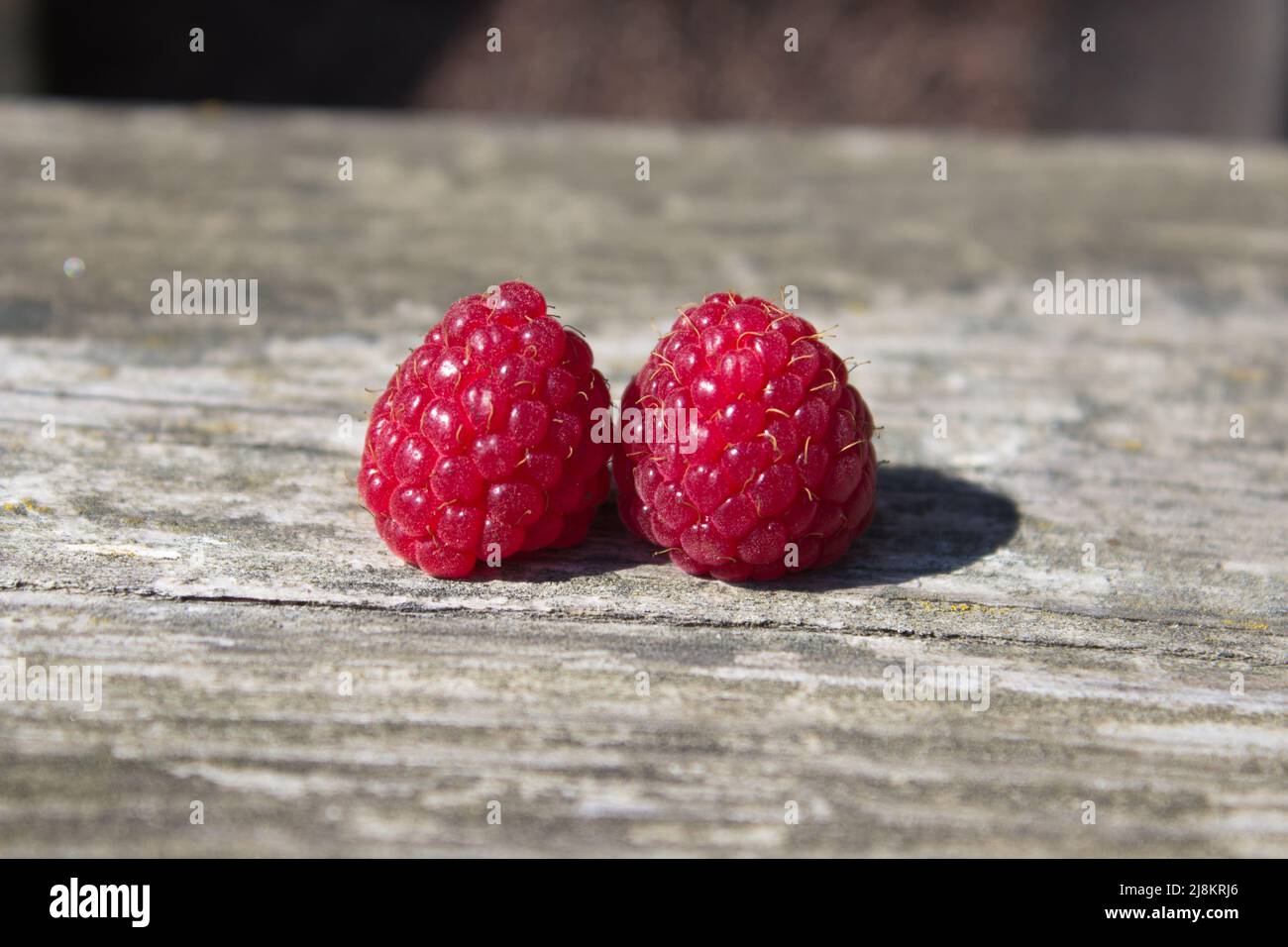 Two raspberries hi-res stock photography and images - Alamy