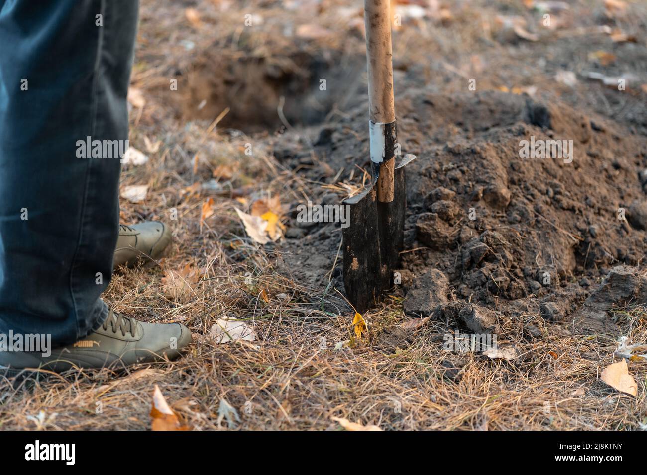 planting new trees with gardening tools or man with shovel digging ground Stock Photo