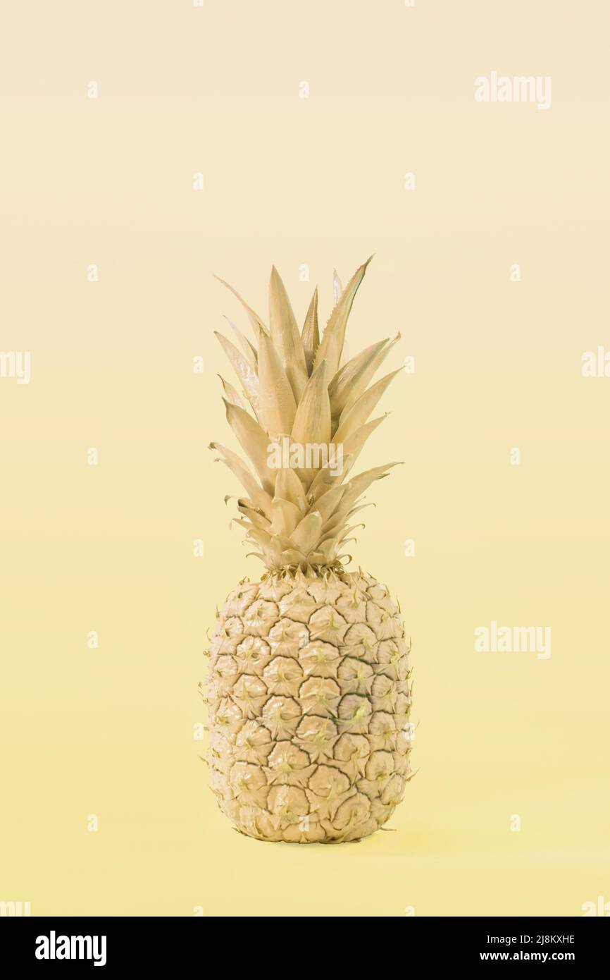 Creative yellow Summer tropical fruit concept of pastel tasty pineapple. A refreshing healthy snack. Stock Photo