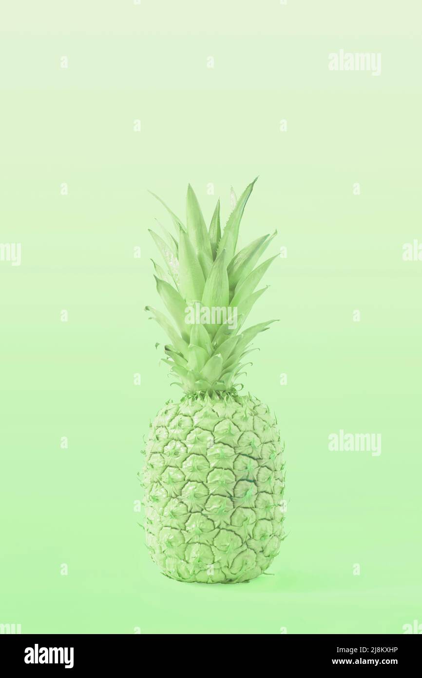 Creative green Summer tropical fruit concept of pastel tasty pineapple. A refreshing healthy snack. Stock Photo