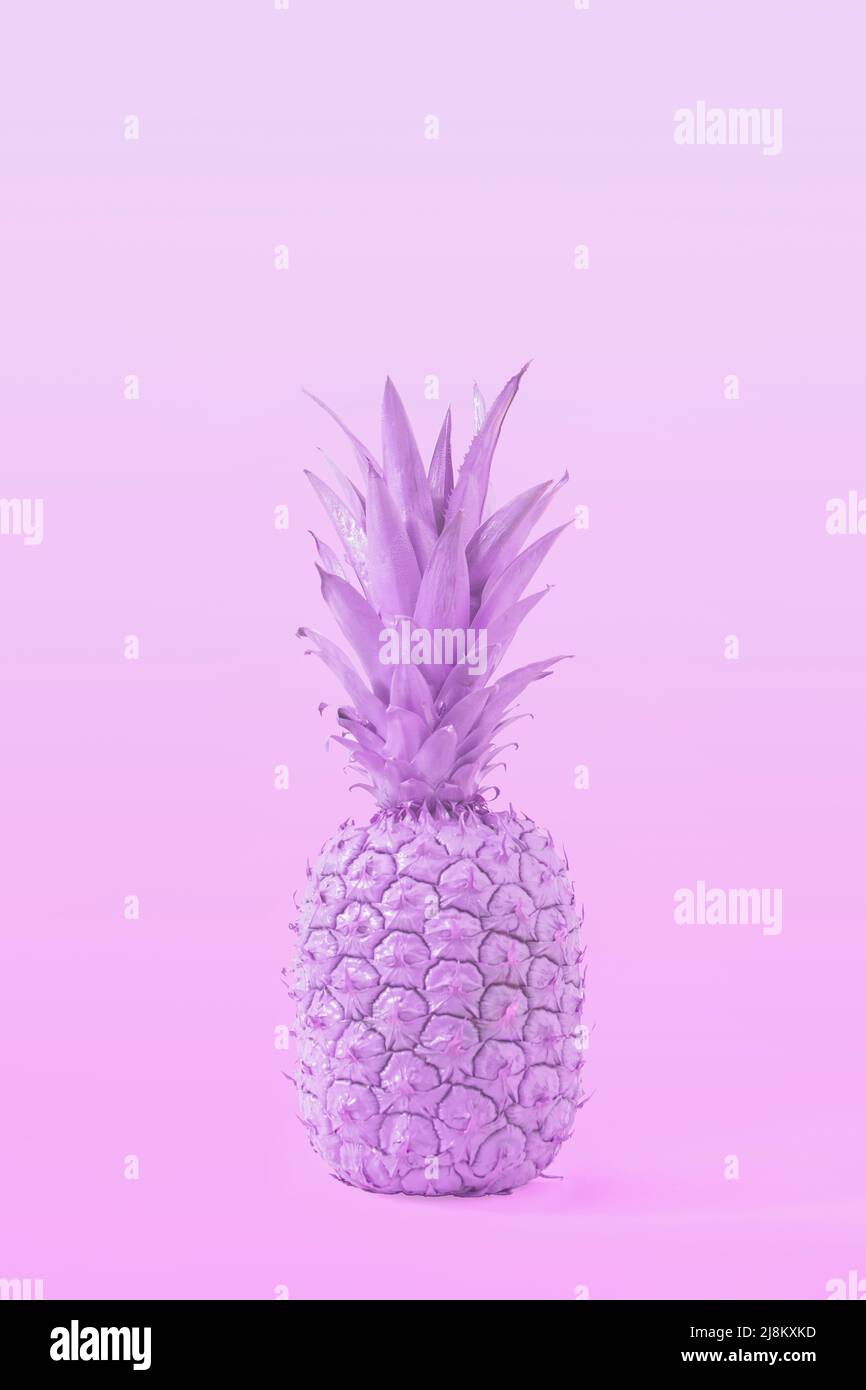 Creative purple Summer tropical fruit concept of pastel tasty pineapple. A refreshing healthy snack. Stock Photo