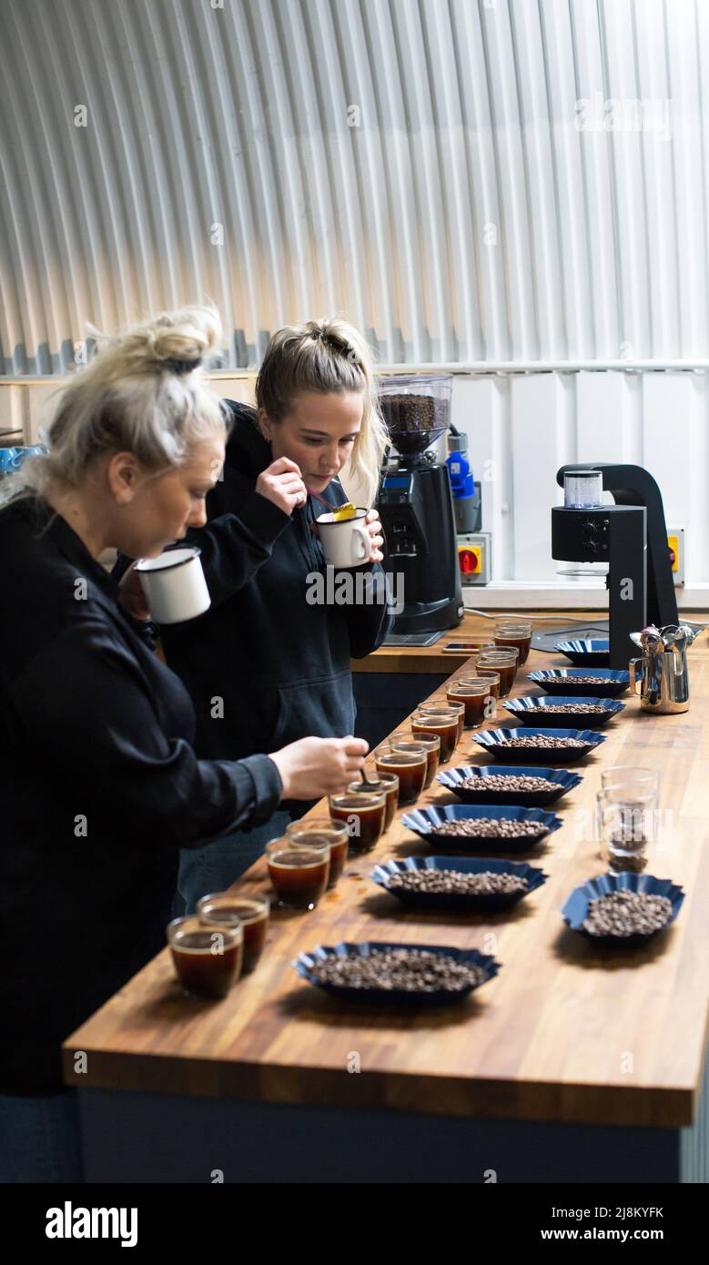 Two woman tasting coffee cupping and coffee tasting Stock Photo