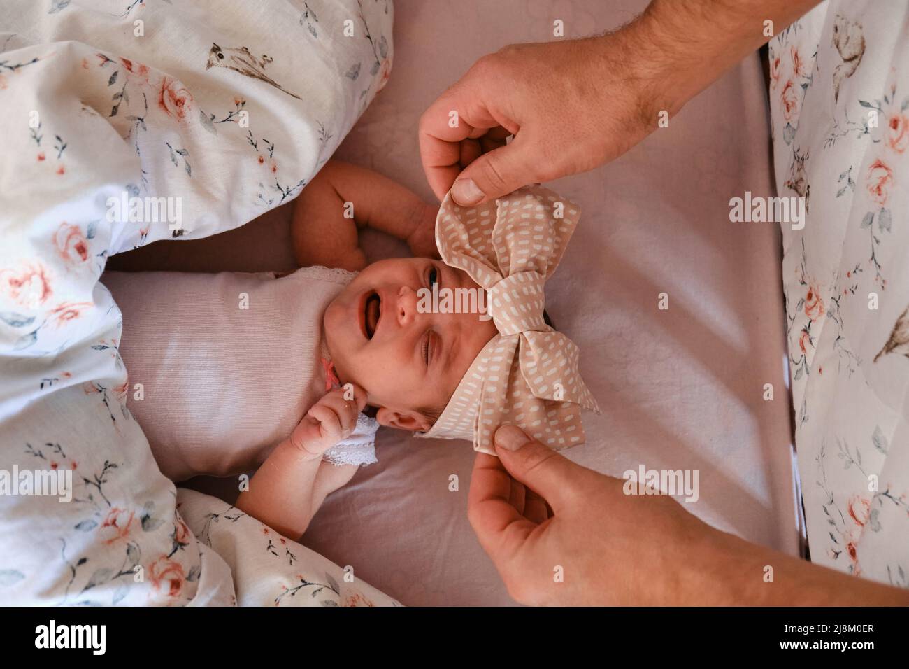 Hands of a father put a newborn baby lying in a baby bed with a bow