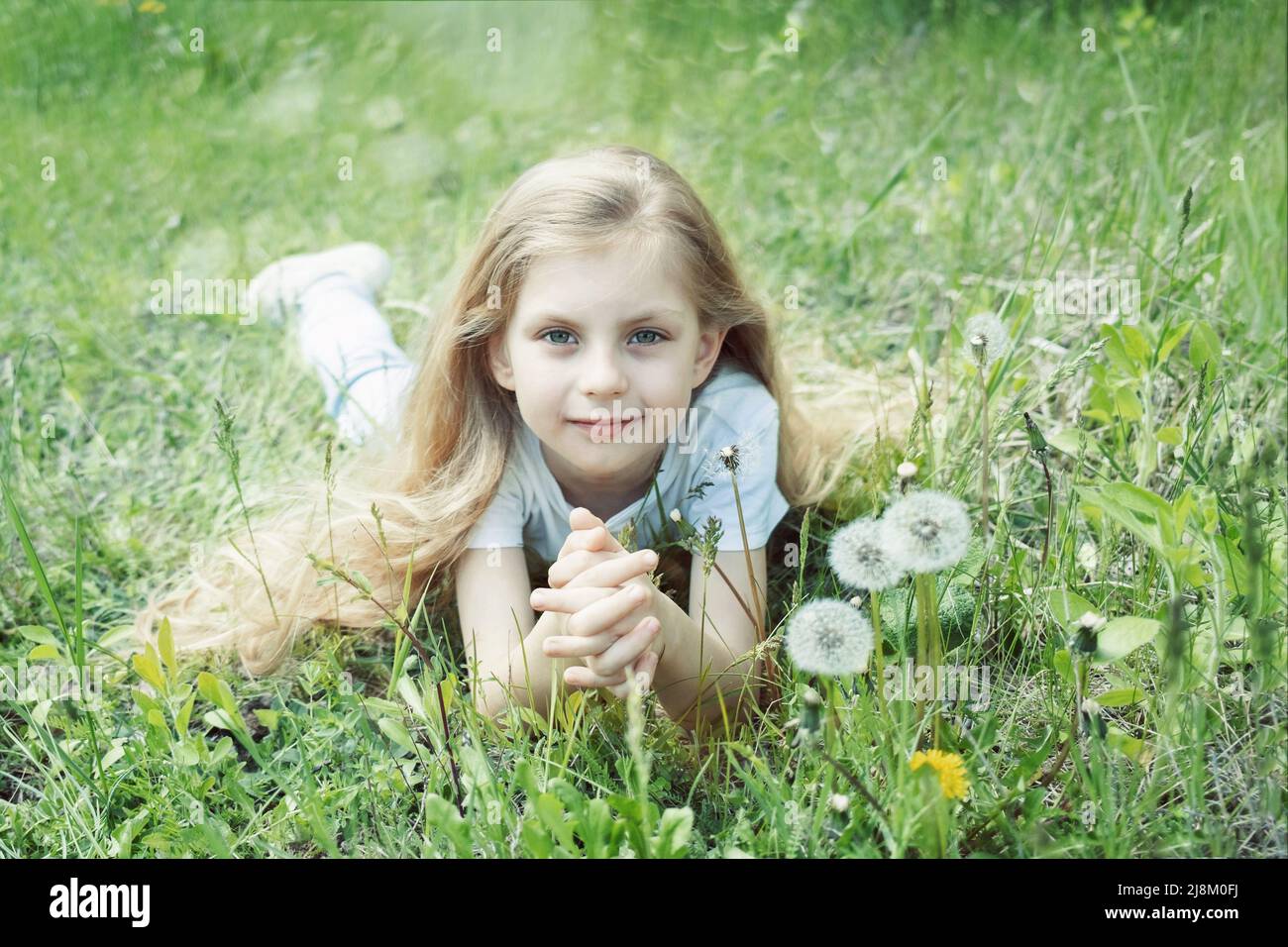 Image of pretty little girl lying down on dandelions field, happy ...