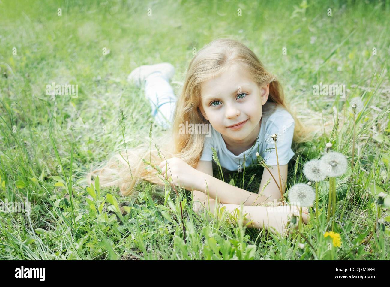 Image of pretty little girl lying down on dandelions field, happy ...