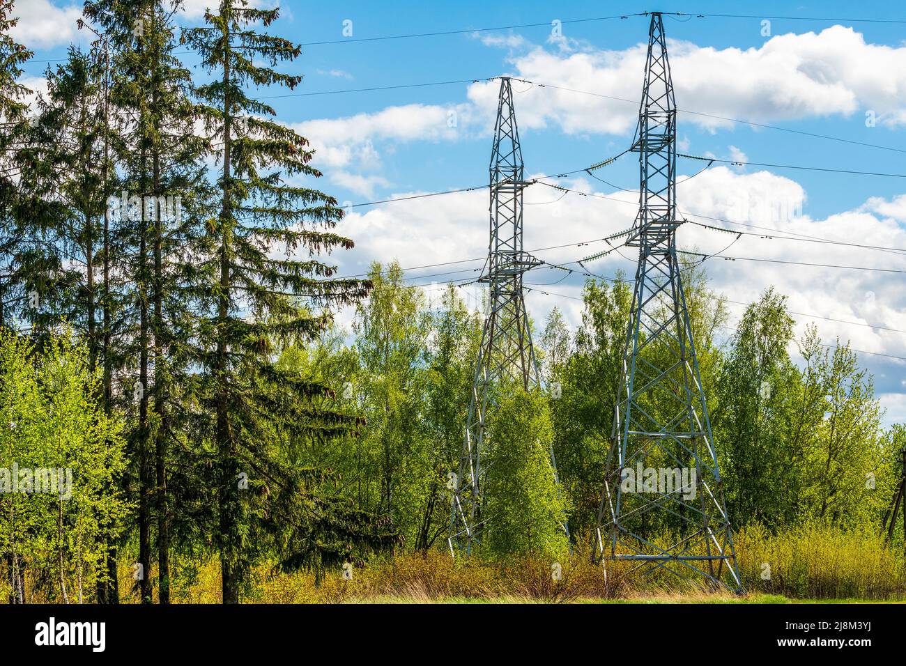 Electric Power Transmission Lines over trees. High voltage transmission towers in the forest. High-voltage electric transmission Stock Photo