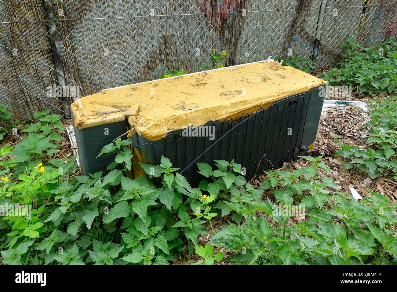 Discarded old broken fridge, Berlin, Germany Stock Photo