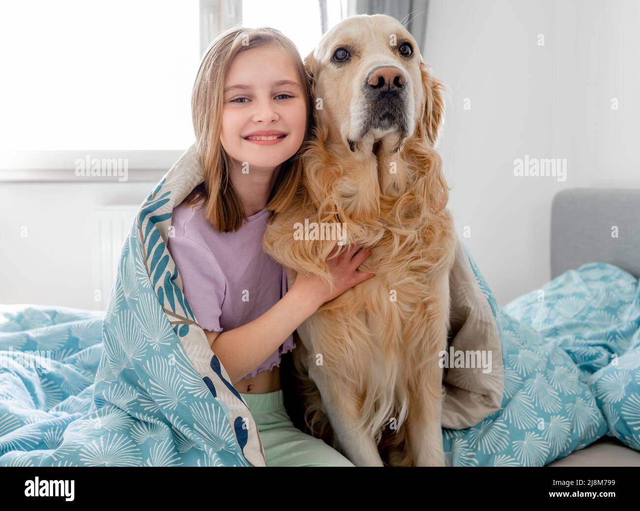 Little girl with golden retriever dog Stock Photo - Alamy
