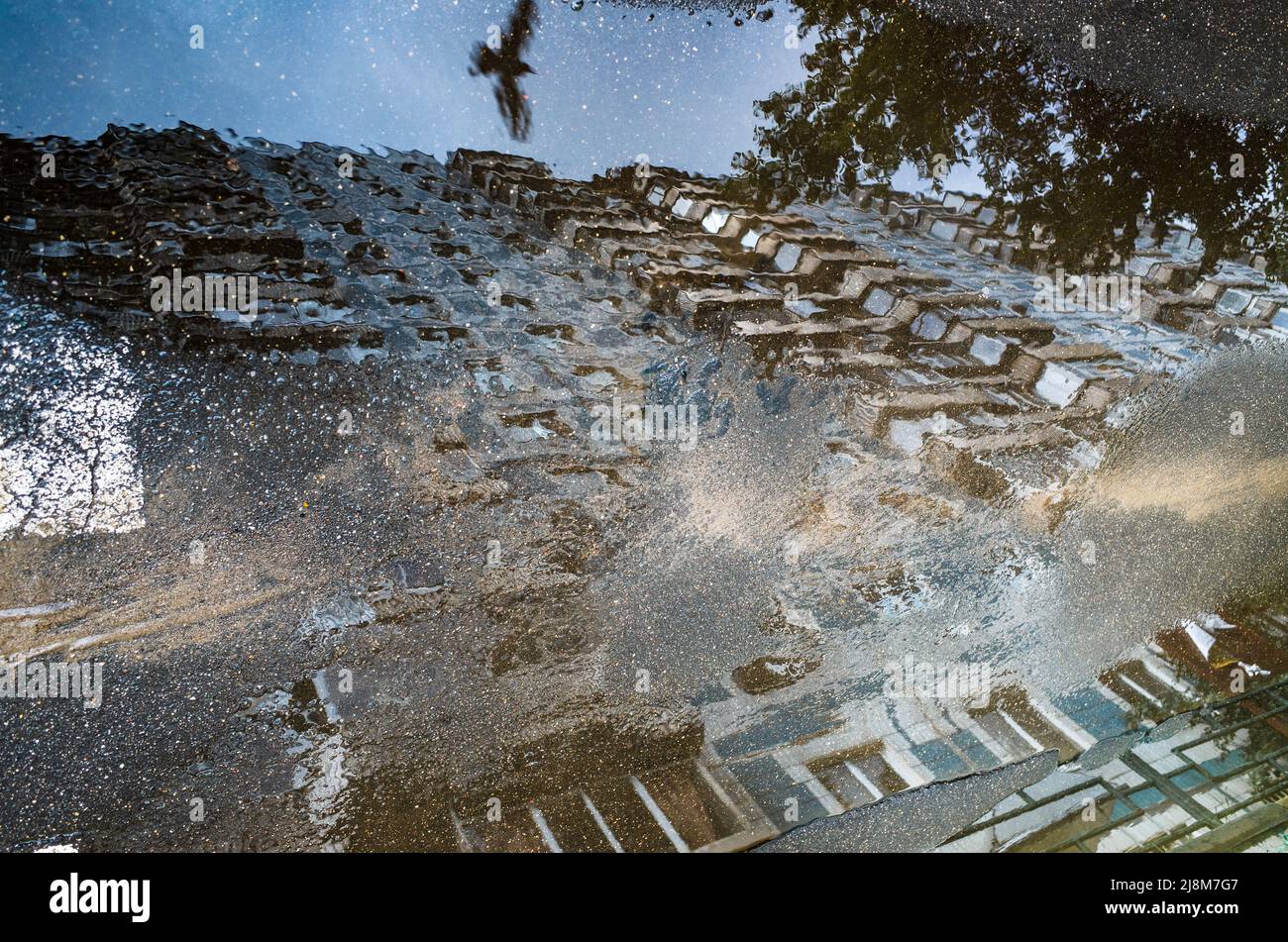 Reflection of a building and a flying bird in a puddle on the asphalt