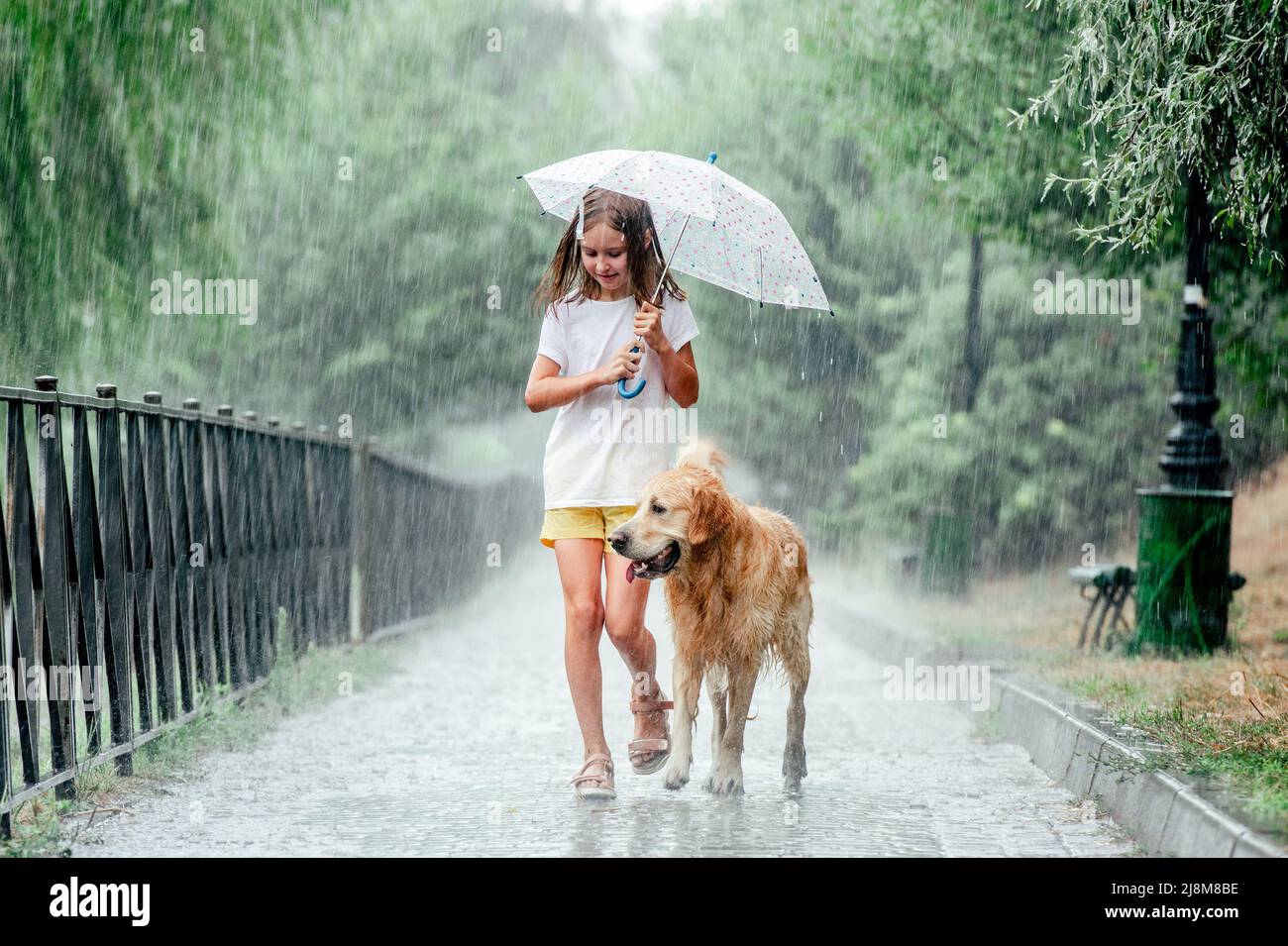 Girl with golden retriever dog in rainy day Stock Photo - Alamy