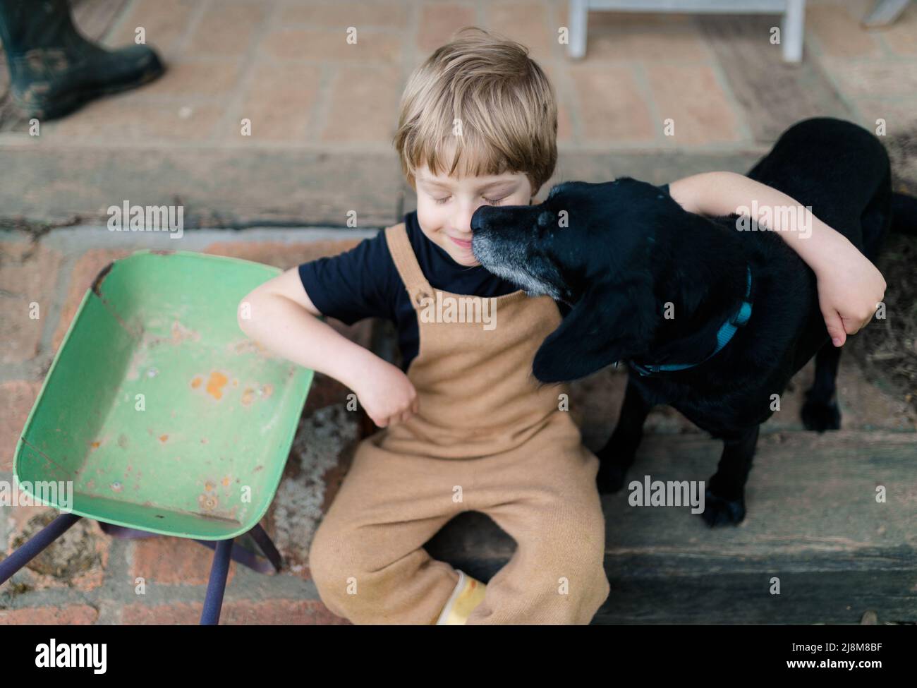 High angle view of little boy gardener sitting and playing with his dog in garden. Stock Photo