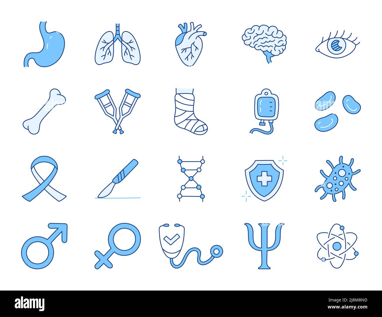 Medical specialization doodle illustration including icons - stomach, urology, heart, pulmonology, immunologist, therapist, psychologist. Thin line Stock Vector