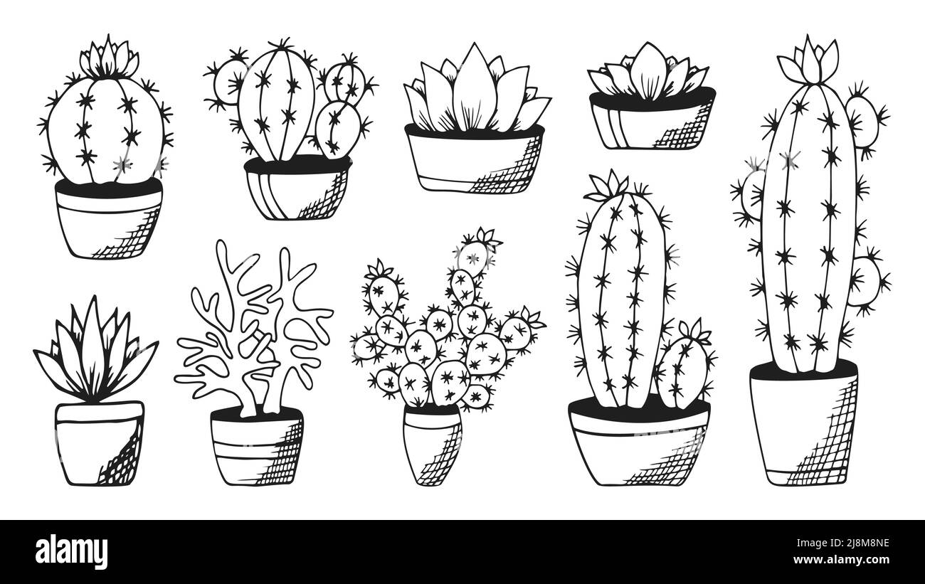 Cactus and succulent handdrawn flat black set. Plant and flower pot. Monochrome echeveria crassula aloe vera. Design for sketchbook magazine web card book . Vector illustration Isolated on white Stock Vector