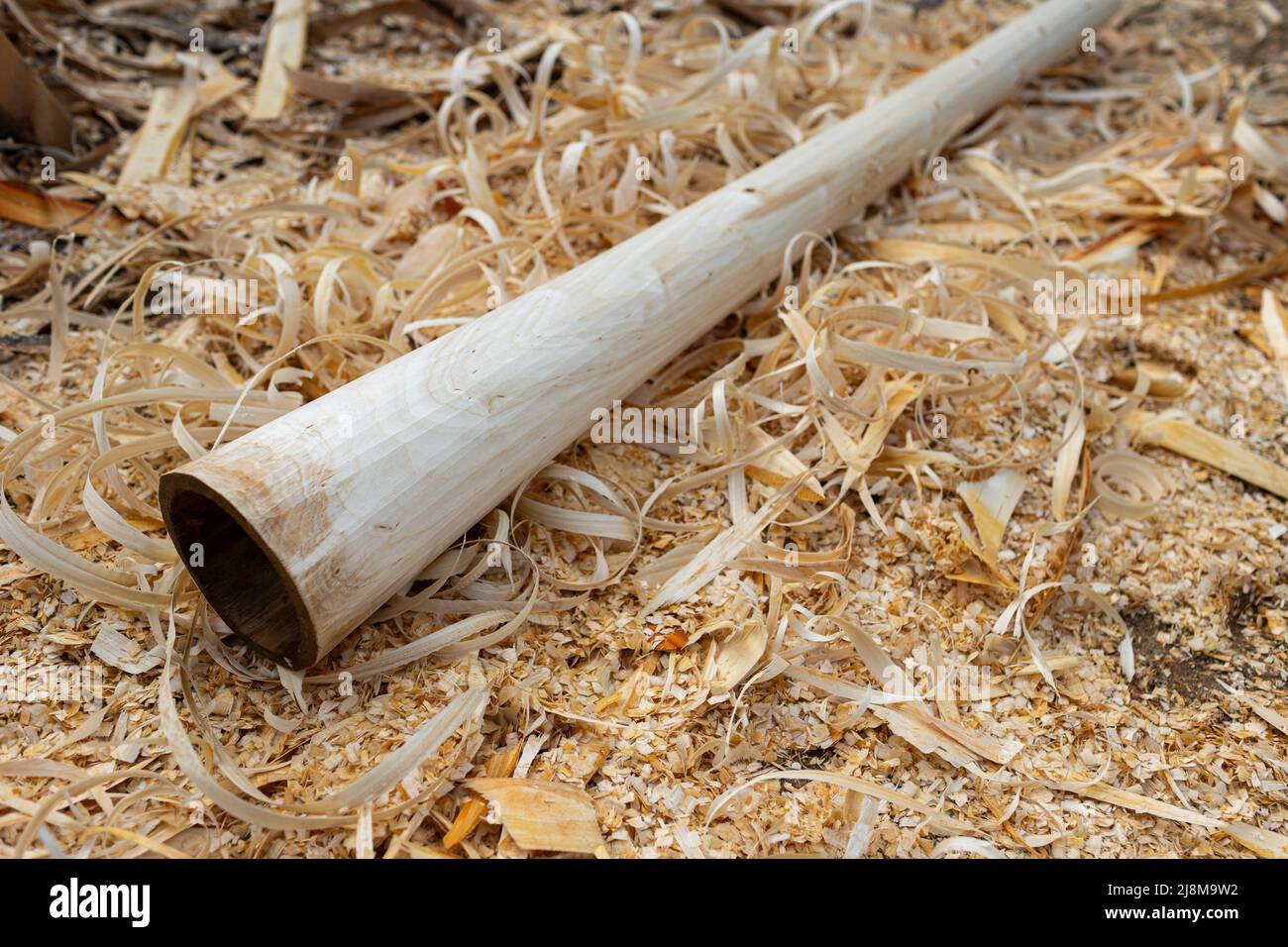 Woodworking, making a new didgeridoo from alder tree Stock Photo Alamy