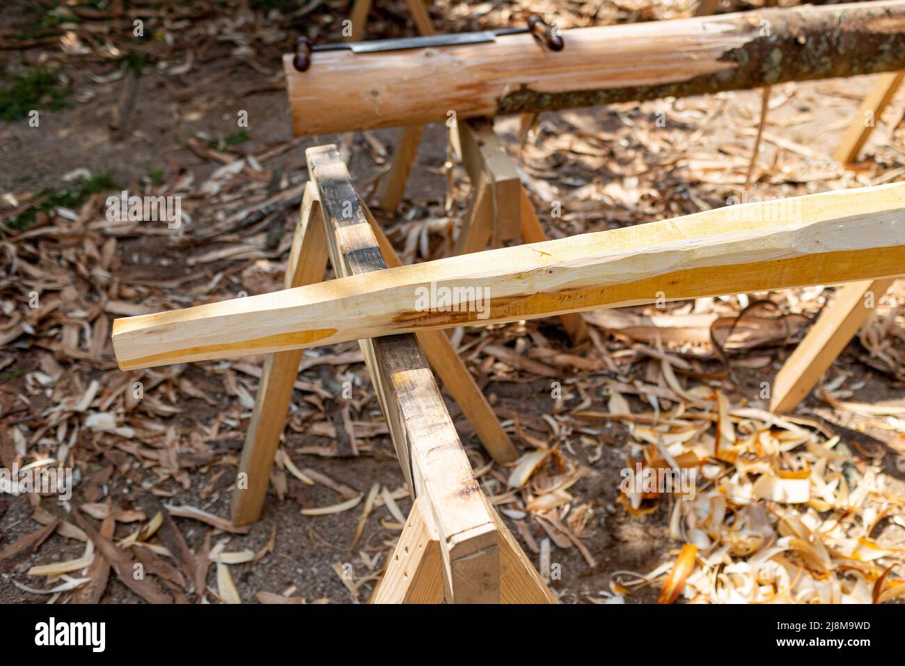 Woodworking, making a new didgeridoo from alder tree Stock Photo Alamy