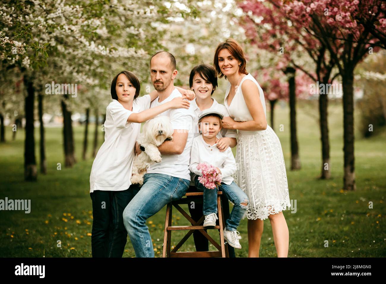 Beautiful family with kids, mom, dad, three boys and a dog, playing in ...