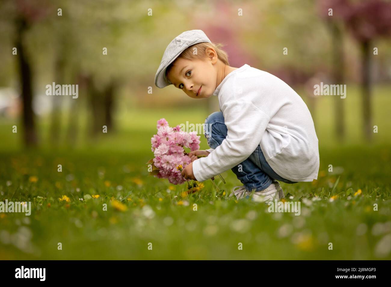 Beautiful family with kids, mom, dad, three boys and a dog, playing in ...