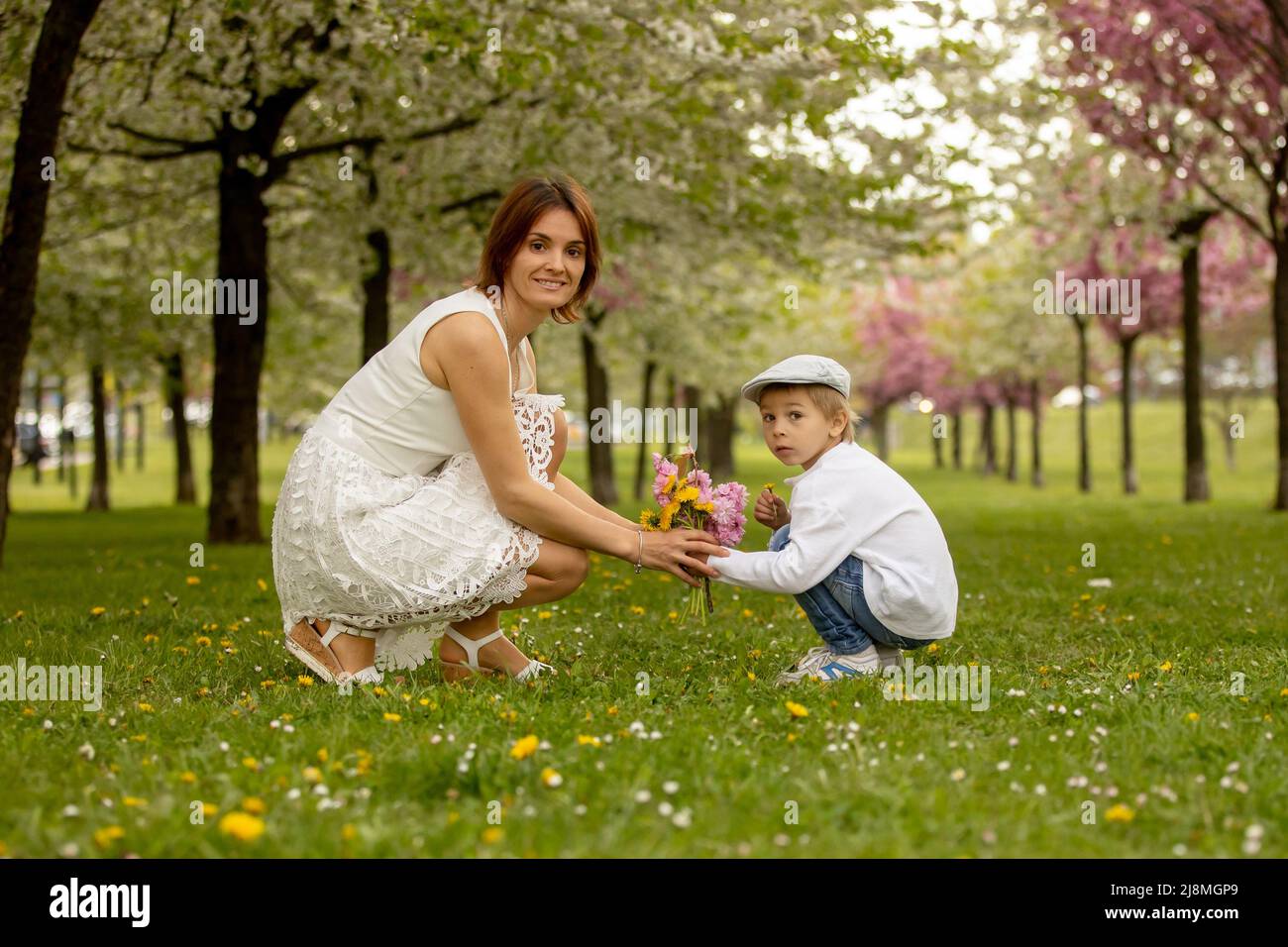 Beautiful family with kids, mom, dad, three boys and a dog, playing in ...