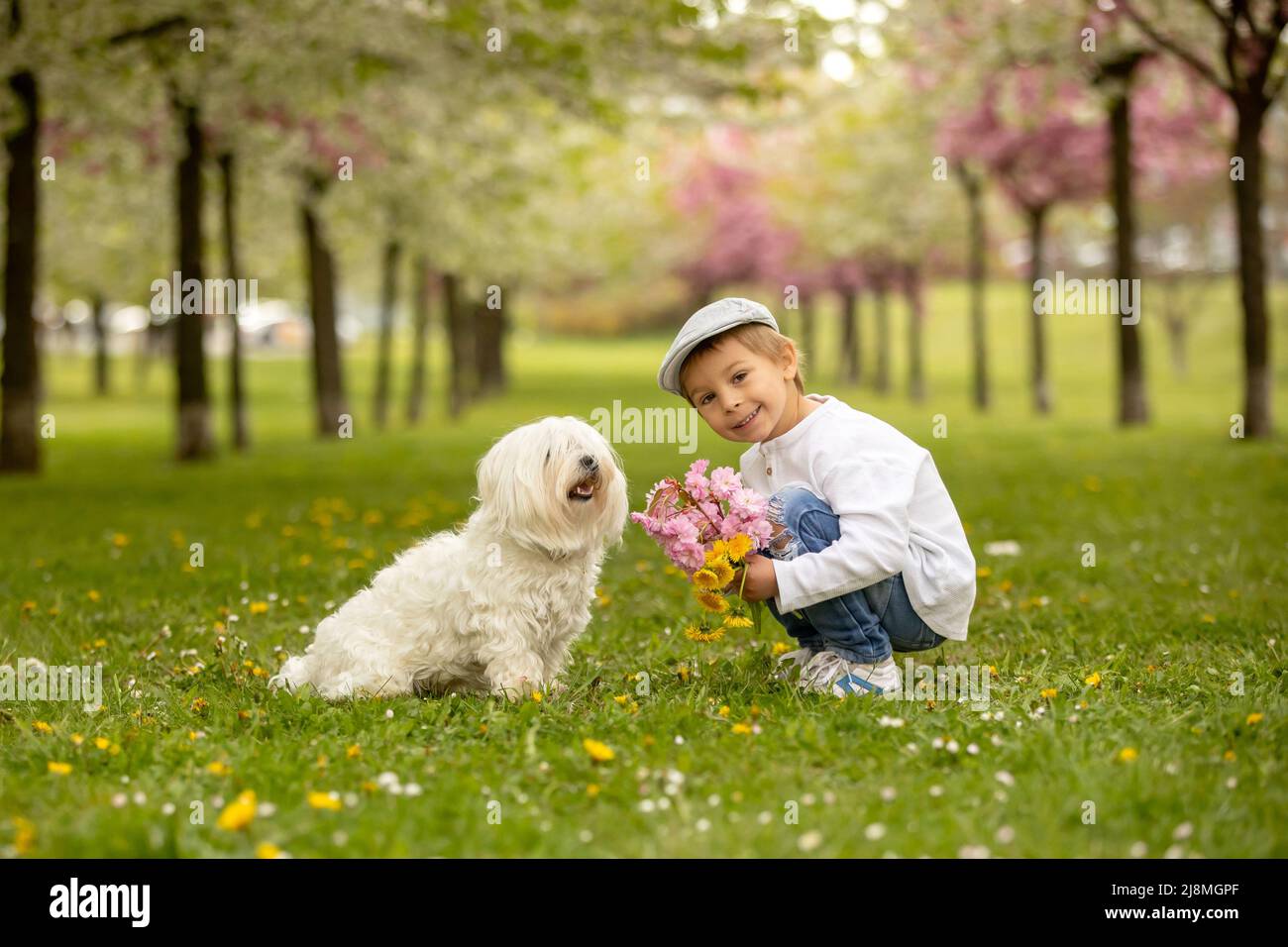 Beautiful family with kids, mom, dad, three boys and a dog, playing in ...