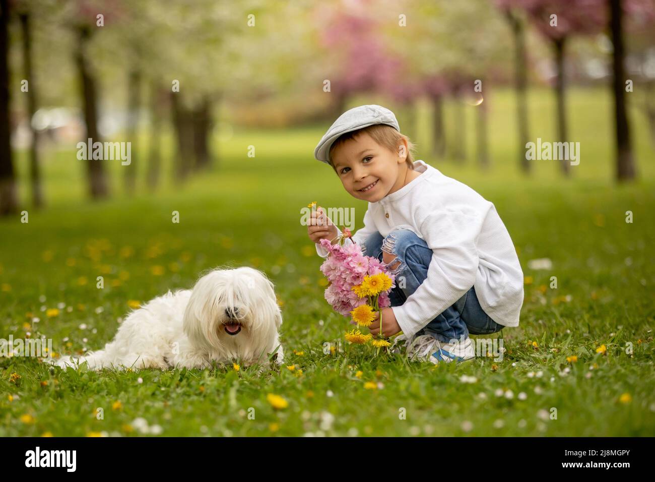 Beautiful family with kids, mom, dad, three boys and a dog, playing in ...