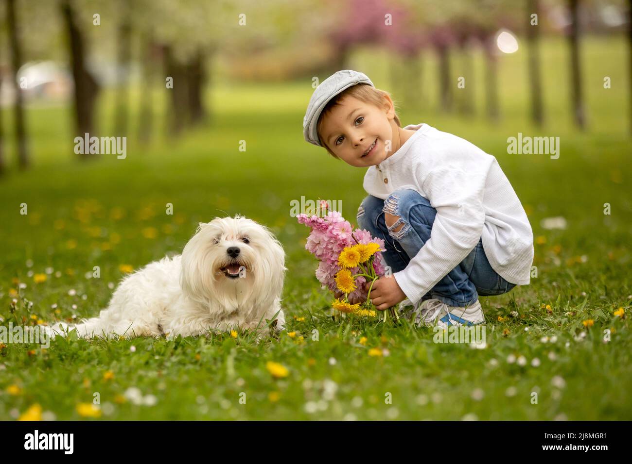 Beautiful family with kids, mom, dad, three boys and a dog, playing in ...