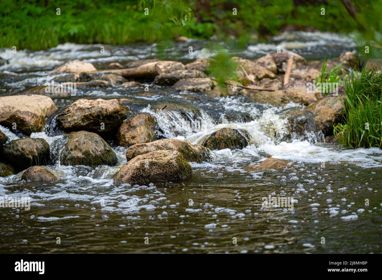 Large rocks with moss and lichens in the river stream. Background of ...