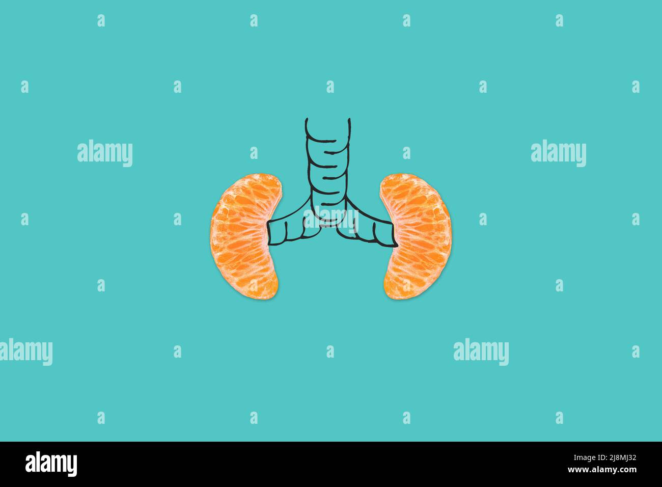 A health concept of the unhealthy human lungs of a smoker with lung cancer in the dark shadows, made of tangerine segments. Stock Photo