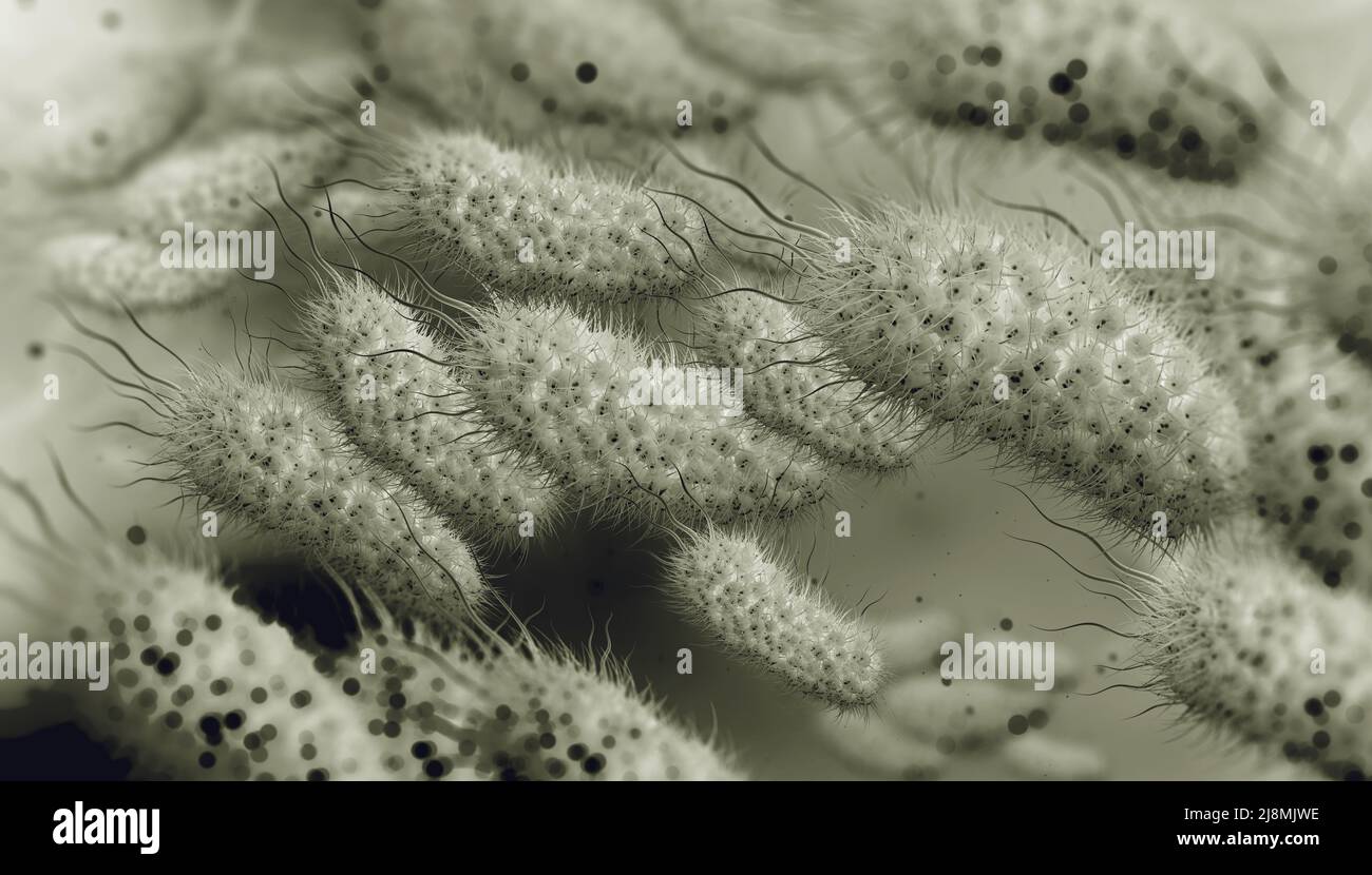 Escherichia coli, colony of bacteria 3D illustration. Microorganisms in aquatic environment under microscope. Probiotics. Intestinal bacteria Stock Photo