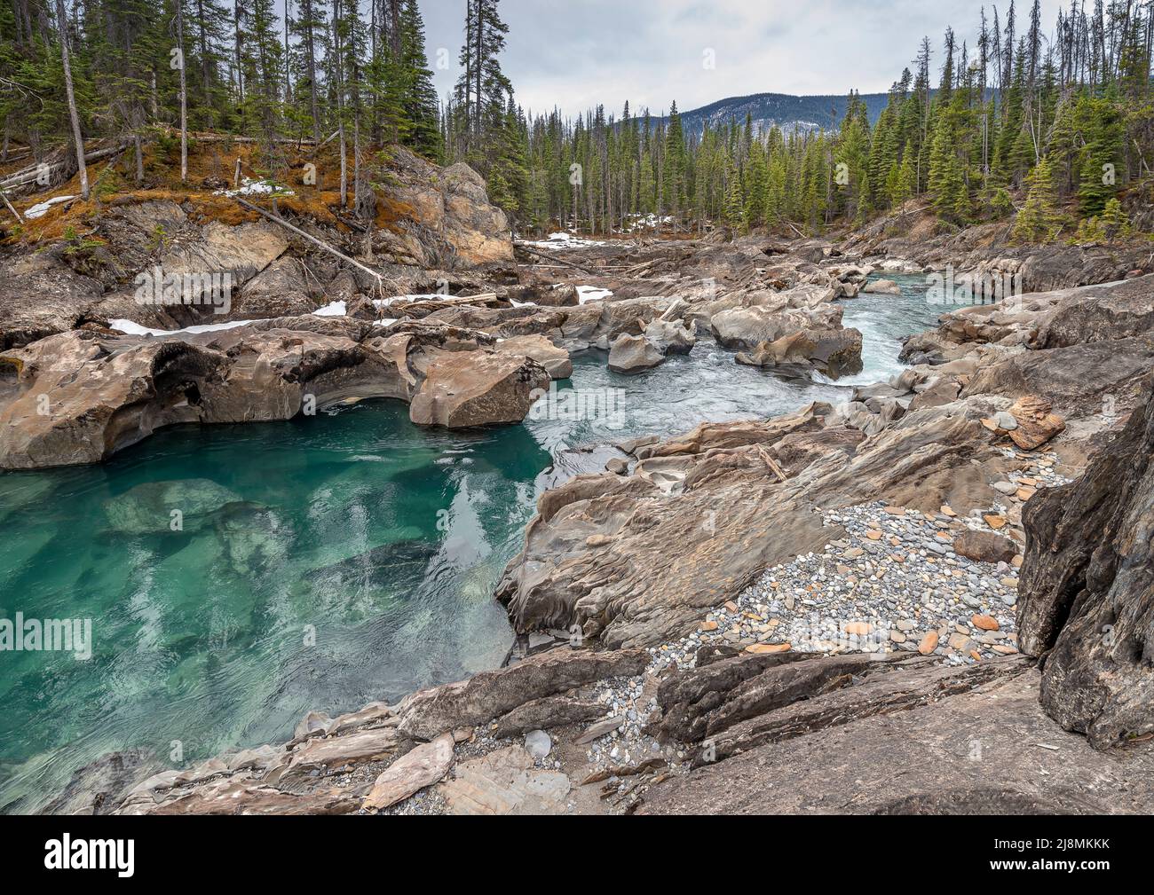 Kicking Horse River with Eroded Rocks near the town of Field Stock Photo