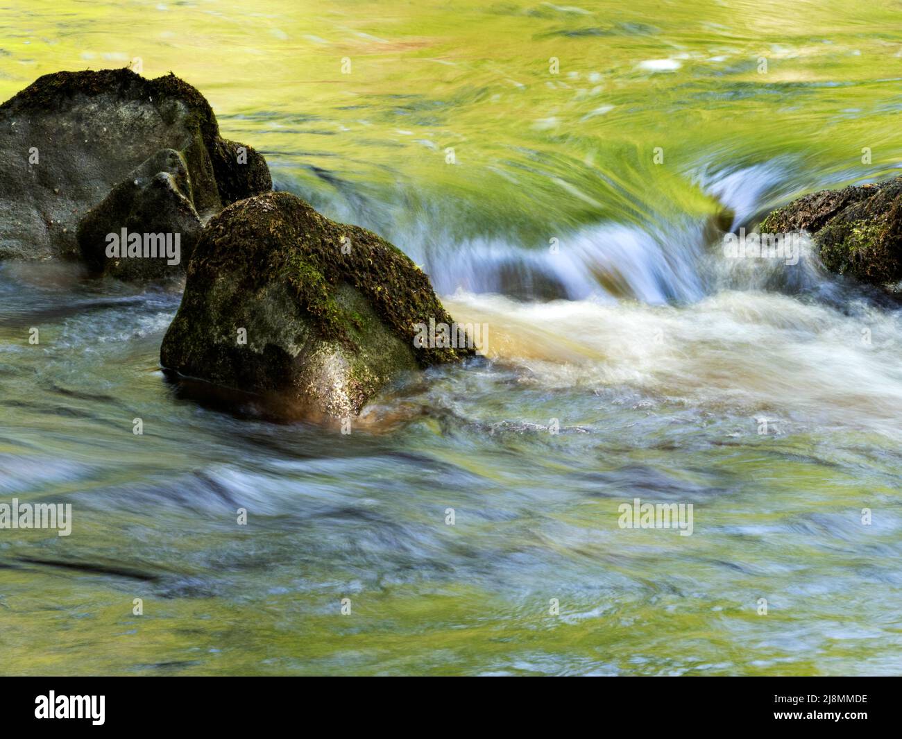 Colourful spring foliage reflections in the River Wharfe just above The Strid in Strid Wood Bolton Abbey  Yorkshire England Stock Photo