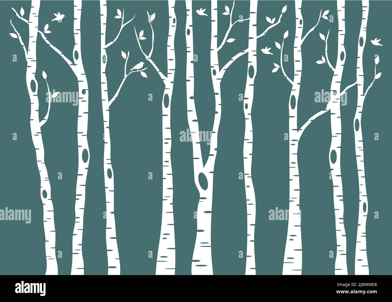 birch tree forest with birds, vector illustration on teal green background Stock Vector