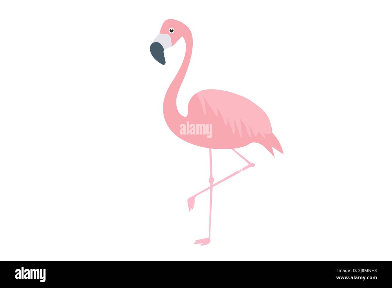 Vector Isolated Illustration of a Pink Flamingo Stock Vector Image ...