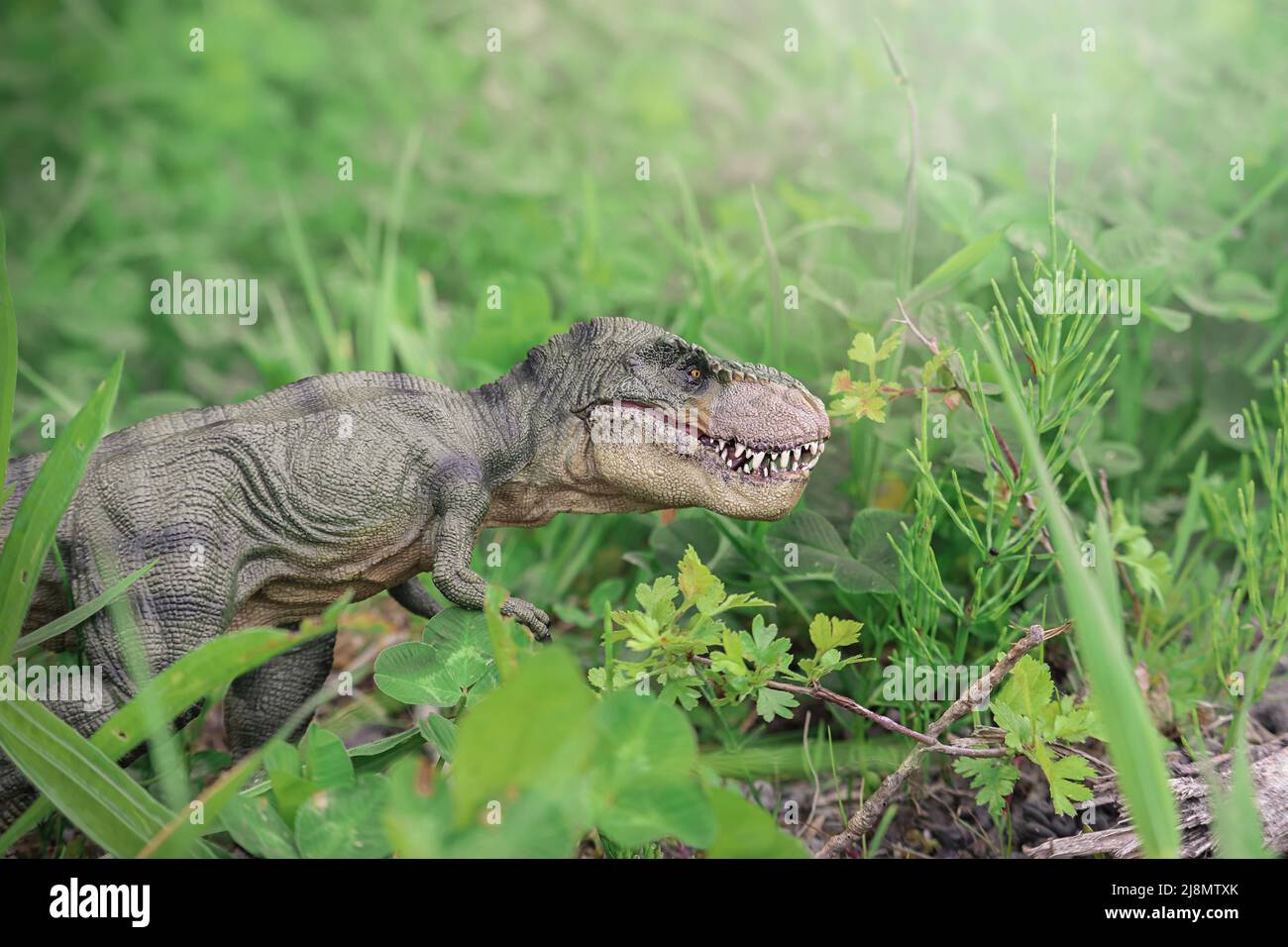Tyrannosaurus t-rex action figure walking through vegetation realistic scene in nature dinosaur monster Stock Photo