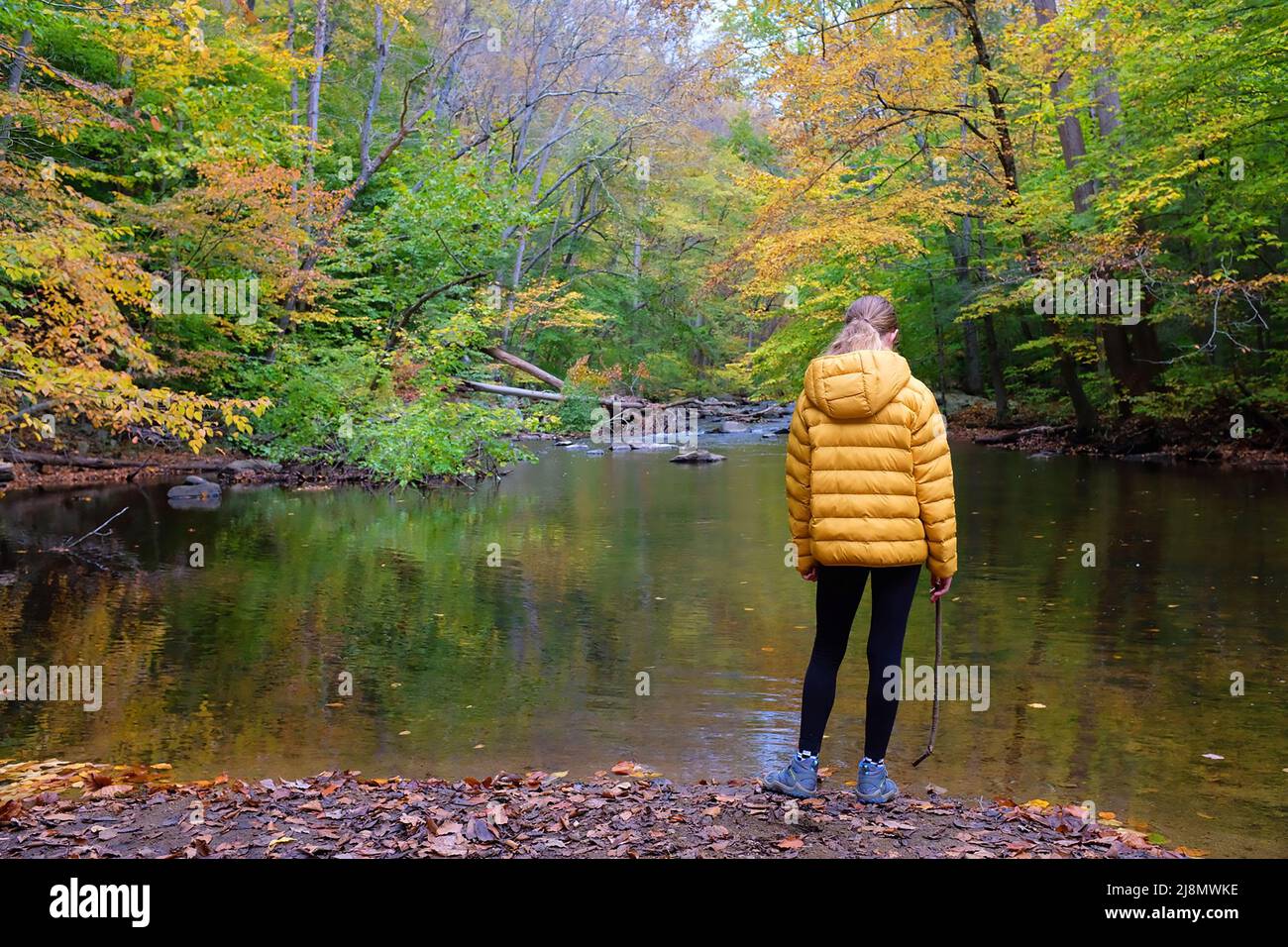 Young girl standing by a river in the fall wearing a yellow jacket ...