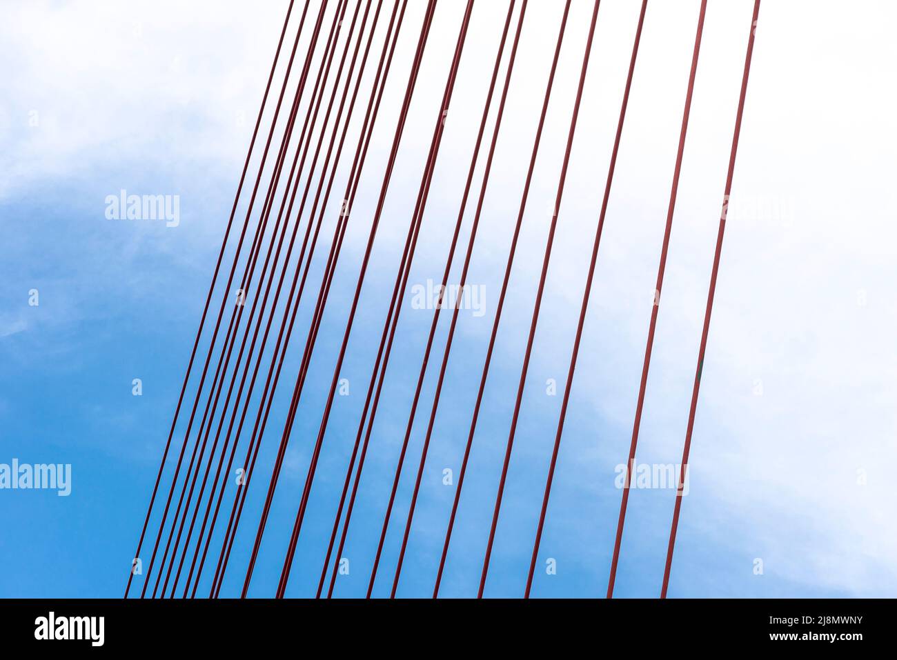 A large cablestayed bridge on the German motorway over the river Rhine