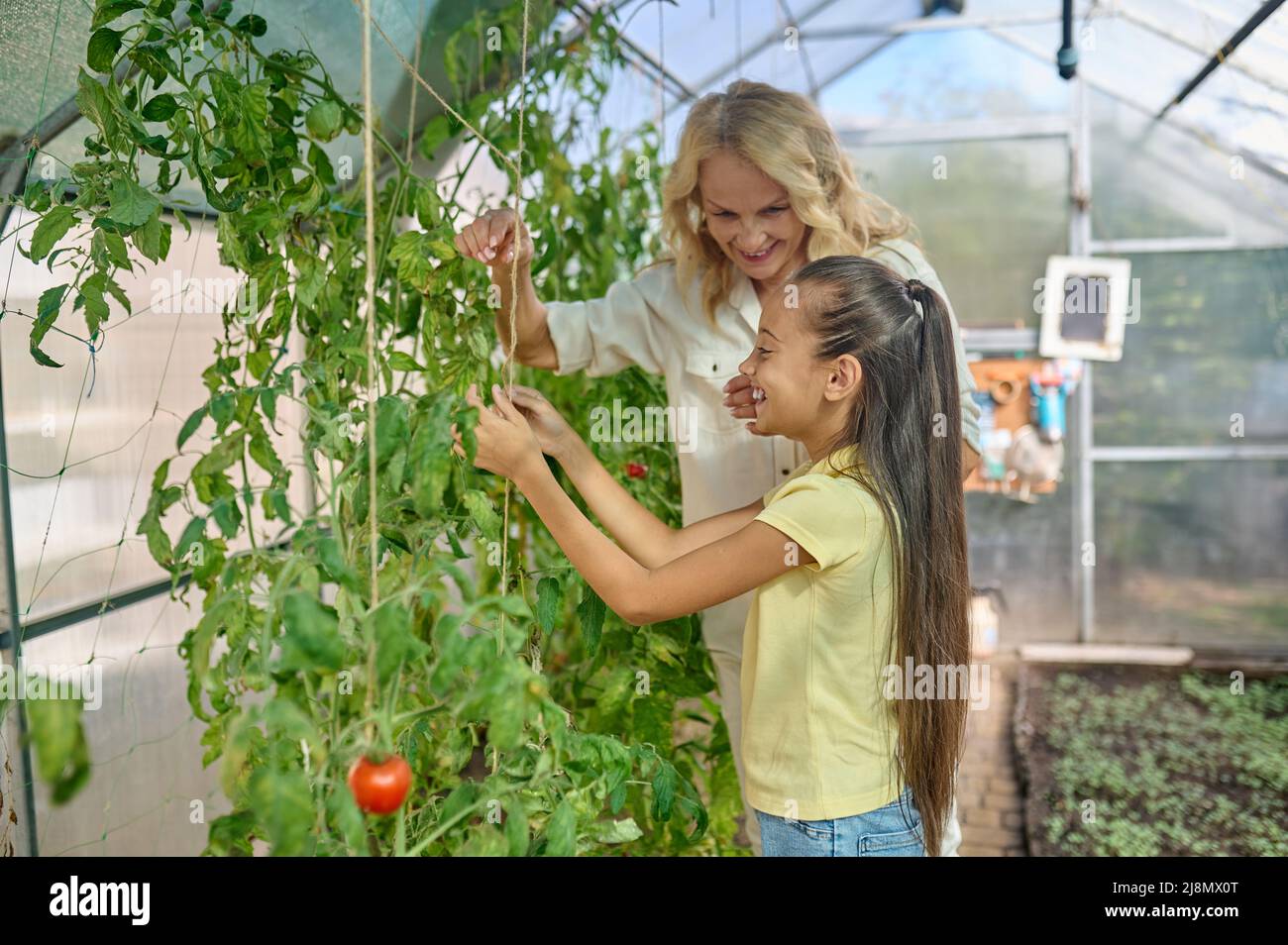 Girl sideways to camera and woman in greenhouse Stock Photo - Alamy