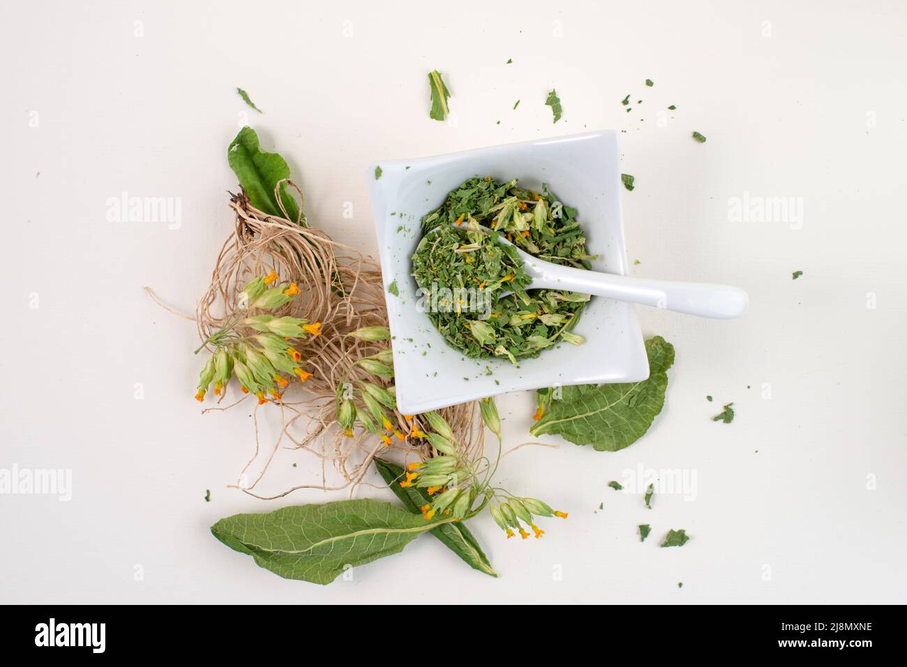 Dried cowslip, Primula veris, for healthy herbal tea, top view. Stock Photo