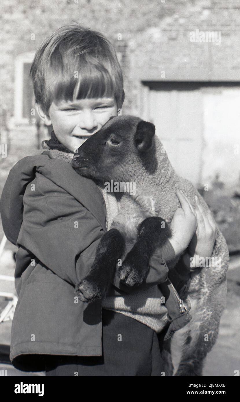 Child holding small lamb hi-res stock photography and images - Alamy