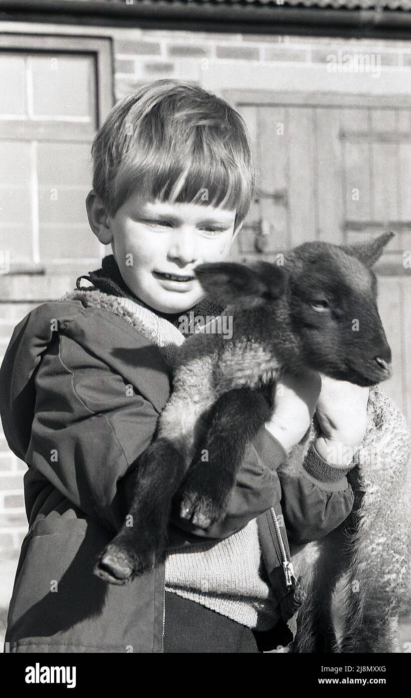 1970s, historical, small boy holding in his arms a lamb, England, UK ...