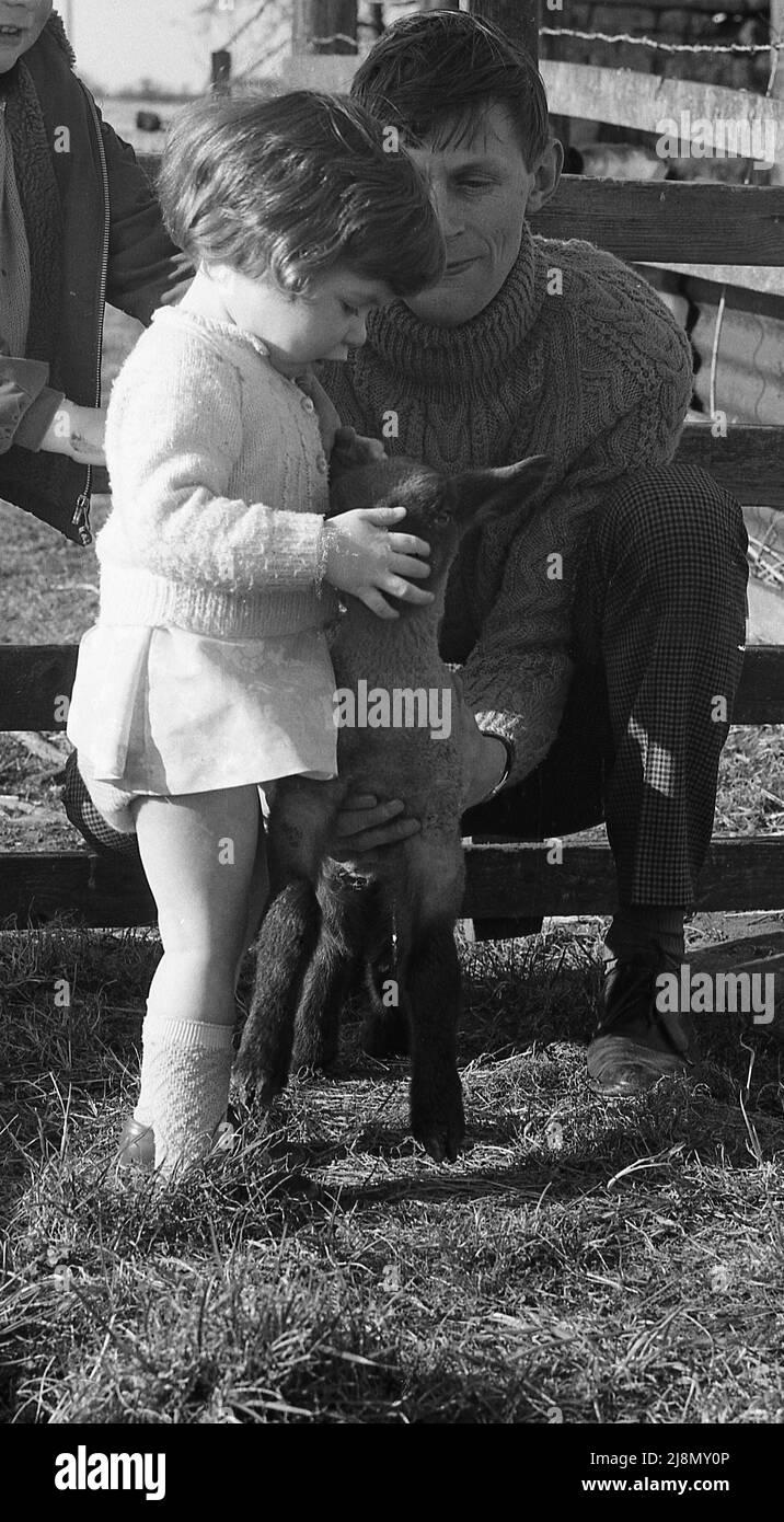1970s, historical, father showing his little daughter a baby lamb, England, UK. Stock Photo